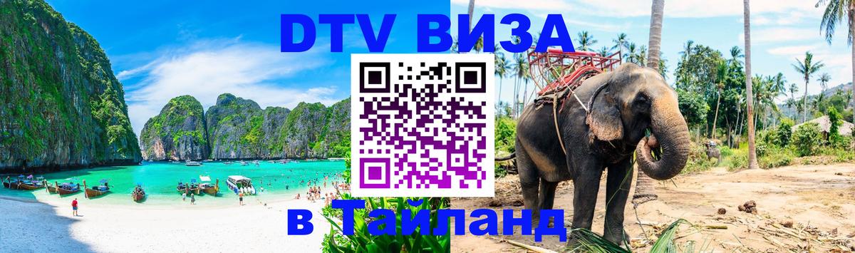 Сколько стоит DTV виза — актуальные цены, оформление даже без документов - Вена 